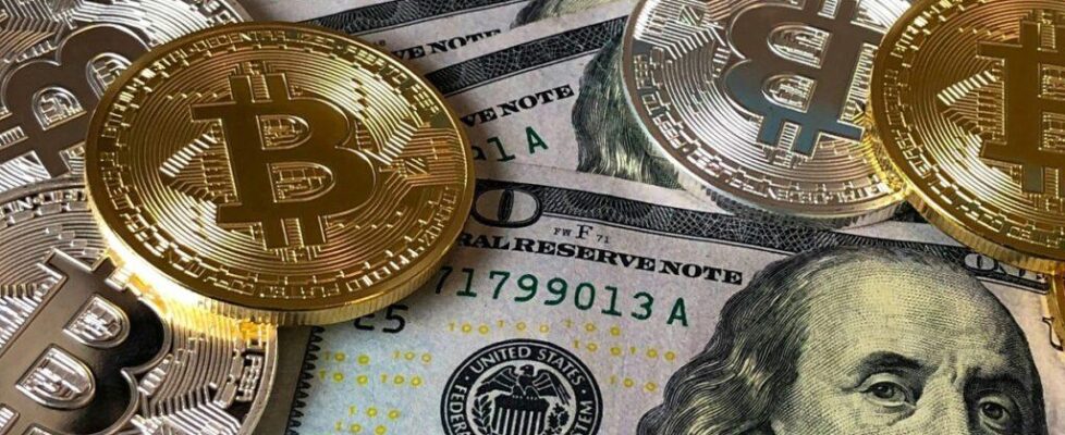 Forex a kryptowaluty – czym się różnią?